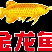 金龍魚(yú)江西分公司