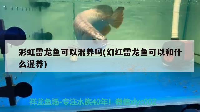 水族館豐富多樣的展覽環(huán)境保護(hù)與可持續(xù)發(fā)展（臨汾堯都區(qū)雙隆水族館：探索海洋奇觀的絕佳去處水族館）