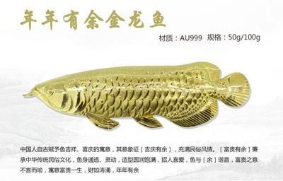 金龍魚(yú)畫(huà)的寓意和象征是什么：金龍魚(yú)畫(huà)的寓意和象征