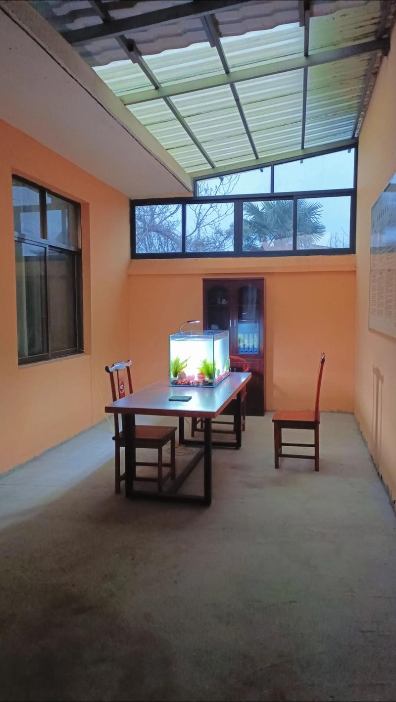 銀龍魚用藍白燈還是三基色燈好呢圖片