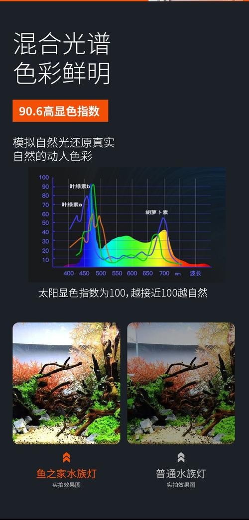 銀龍魚用藍白燈還是三基色燈好呢圖片