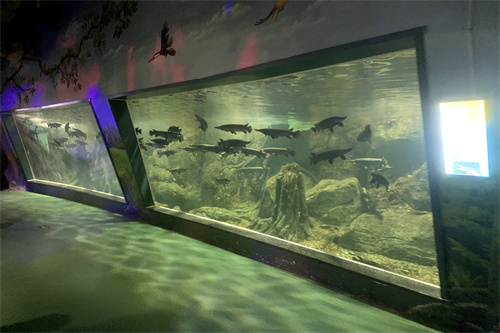 岳陽樓區(qū)學(xué)兵時尚花藝館（岳陽樓區(qū)學(xué)兵時尚花藝館電話）