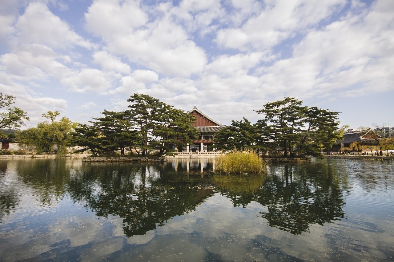 武漢市東西湖木林森園林中心（武漢市東西湖木林森園林中心地址）