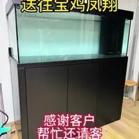 寶雞龍魚缸專賣店在哪里啊