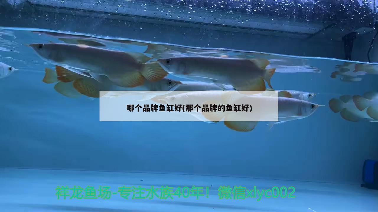 大同市平城區(qū)振廷炸雞店