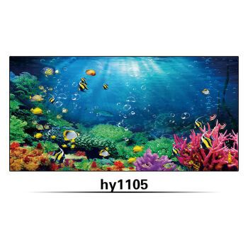 紅龍魚缸背景顏色怎么選擇（養(yǎng)紅龍魚用什么顏色底板和背景色）