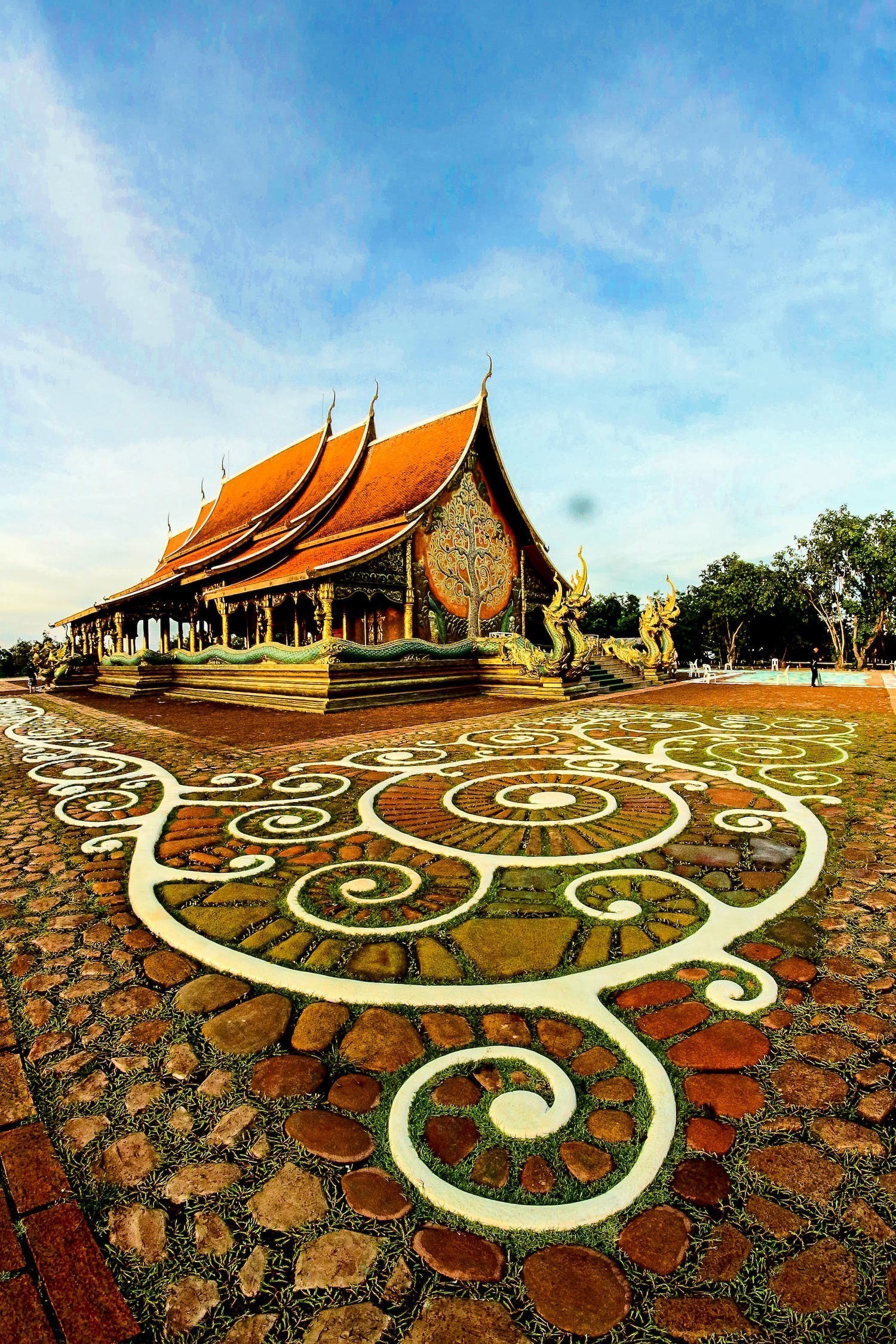 大慶市龍鳳區國金觀賞魚養殖