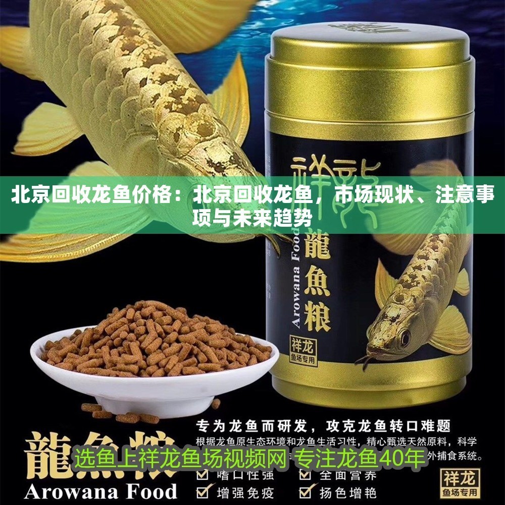 北京回收龍魚價格：北京回收龍魚，市場現狀、注意事項與未來趨勢