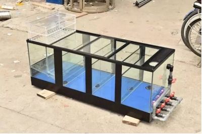 養兩條龍魚的寓意：養兩條龍魚有什么寓意？ 養兩條龍魚的寓意：養兩條龍魚有什么寓意？ 龍魚百科 第2張