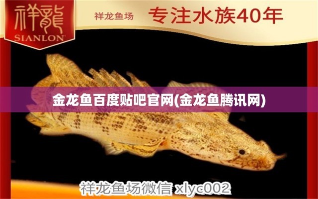 通山縣小成魚缸店