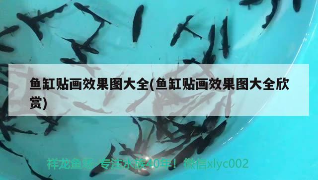 寶雞市金臺(tái)區(qū)深水埠造景水族工作室