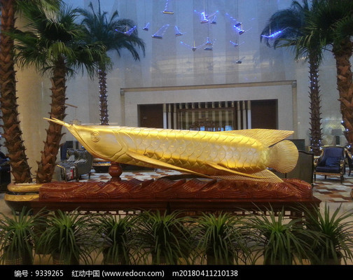 <strong><mark>佛山</mark></strong>市順德區倫教何錦光水族店（順德何錦榮）