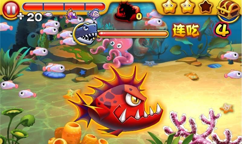 龍魚(yú)吃小魚(yú)嗎：如何判斷龍魚(yú)是否吃小魚(yú)