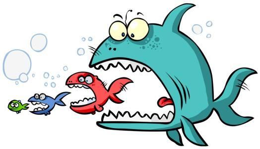 龍魚(yú)吃小魚(yú)嗎：如何判斷龍魚(yú)是否吃小魚(yú)