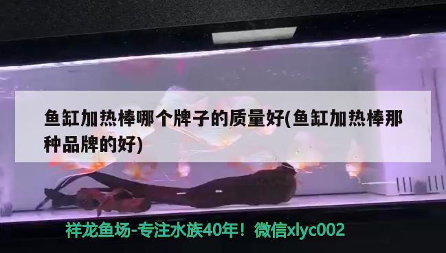 韓城市炣延百勝水族館