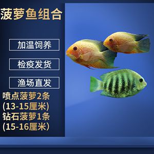 銀板魚換水操作指南:銀板魚換水的具體操作步驟 龍魚百科 第2張 銀板魚換水操作指南:銀板魚換水的具體操作步驟 銀板魚換水操作指南:銀板魚換水的具體操作步驟 龍魚百科 第2張