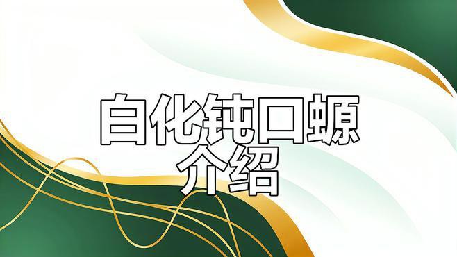 六角小龍魚圖片大全