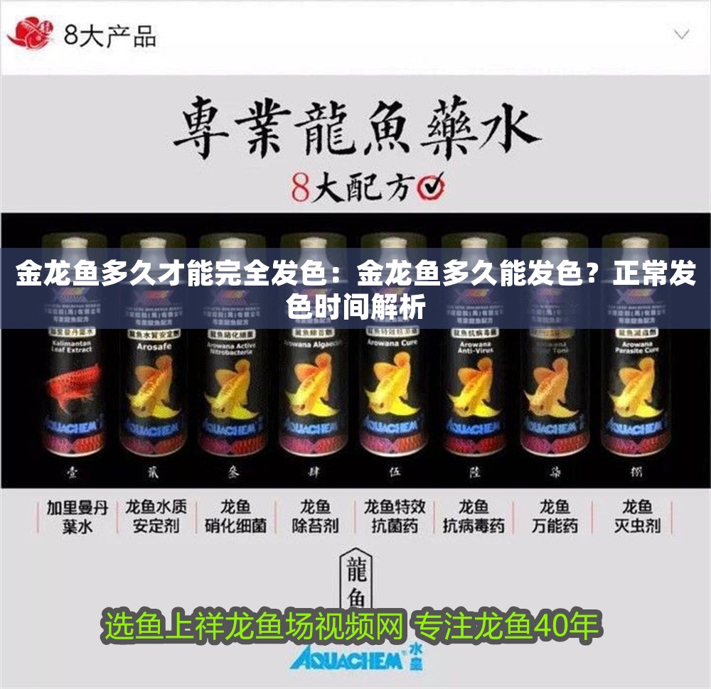 金龍魚多久才能完全發(fā)色:金龍魚多久能發(fā)色?正常發(fā)色時間解析 龍魚百科 第1張 金龍魚多久才能完全發(fā)色:金龍魚多久能發(fā)色?正常發(fā)色時間解析 金龍魚多久才能完全發(fā)色:金龍魚多久能發(fā)色?正常發(fā)色時間解析 龍魚百科 第1張