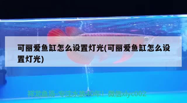灤平縣小營鄉(xiāng)鑫琪漁具店（灤平縣小營鄉(xiāng)鑫琪漁具店電話）