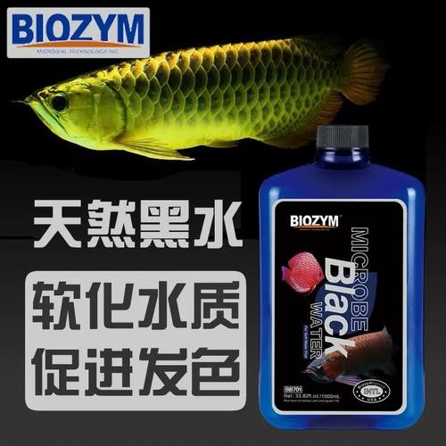 龍魚黑缸圖片欣賞大全