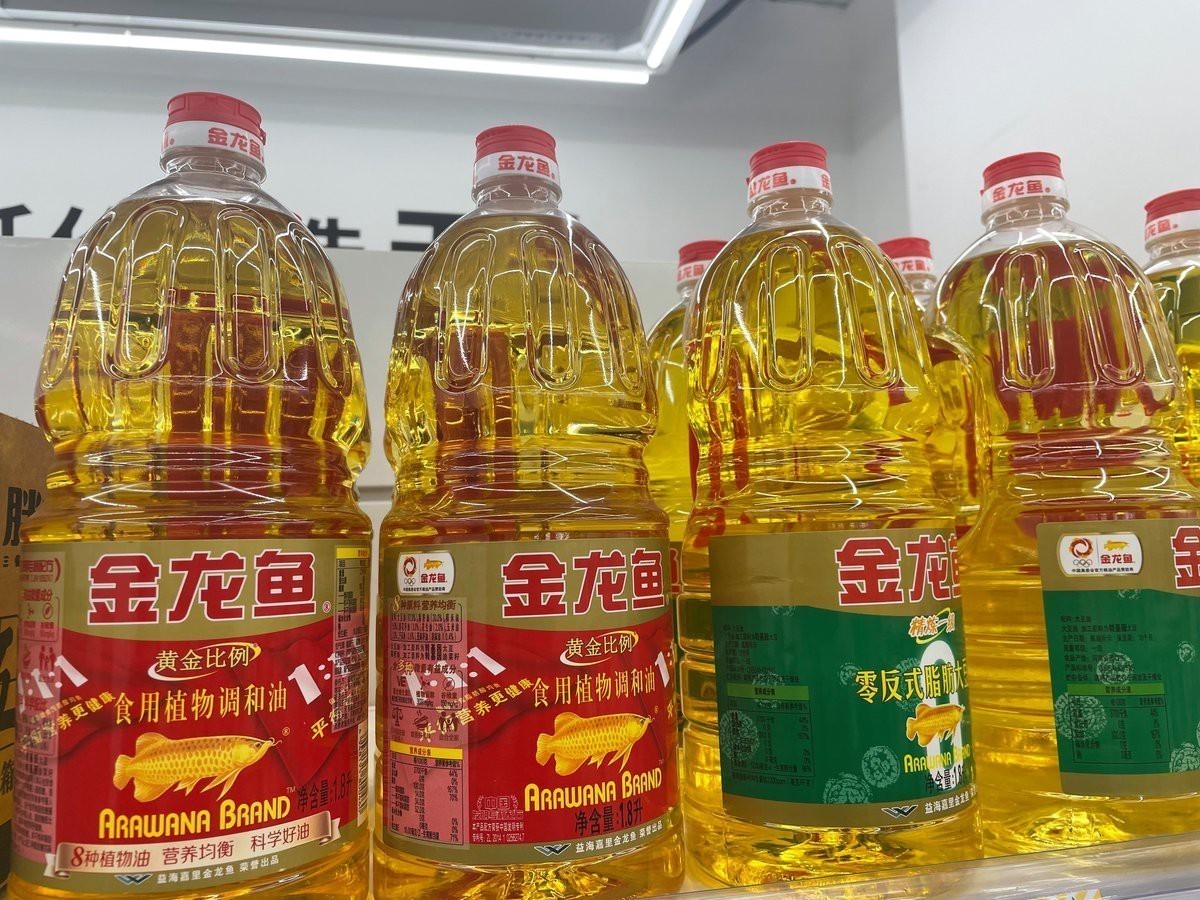 金龍魚有哪些新業務在拓展？