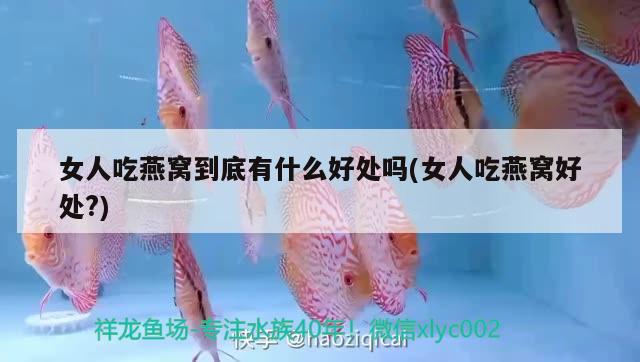 北京翠玉珍寶珠寶店