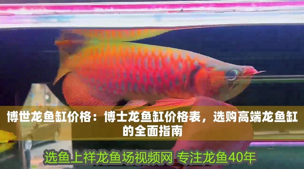 博世龍魚缸價格：博士龍魚缸價格表，選購高端龍魚缸的全面指南