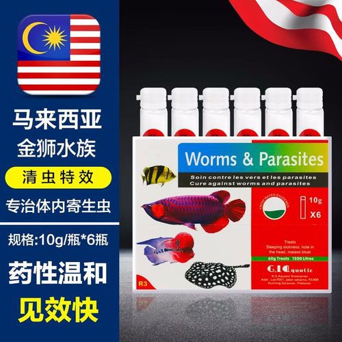 紅龍魚(yú)有寄生蟲(chóng)怎么辦啊圖片