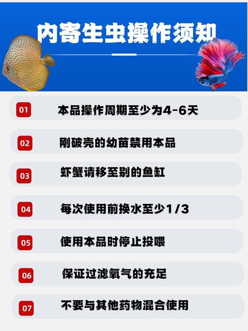 紅龍魚(yú)有寄生蟲(chóng)怎么辦啊圖片