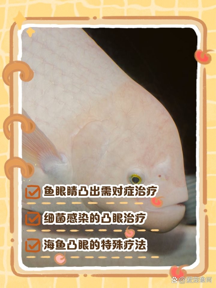龍魚凸眼病治療周期多久？ 龍魚凸眼病治療周期多久？ 龍魚百科 第3張