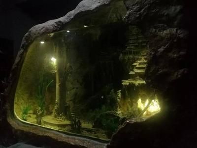 東海龍宮御龍魚缸價格，東海龍宮御龍魚缸價格沒有可以直接的答案：東海龍宮御龍魚缸價格如何？