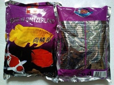 龍魚餌料怎么消毒的：龍魚喂食活餌料消毒龍魚餌料消毒方法和注意事項
