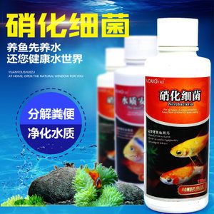 龍魚餌料怎么消毒的：龍魚喂食活餌料消毒龍魚餌料消毒方法和注意事項