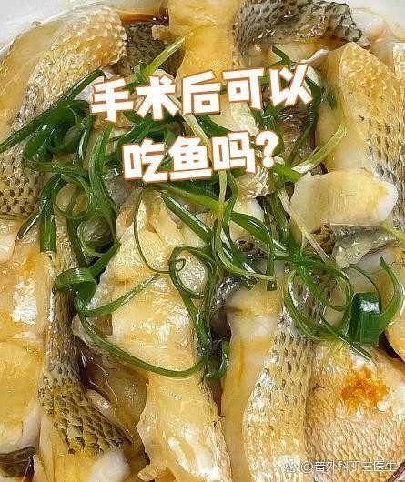 龍魚手術后不吃東西怎么辦