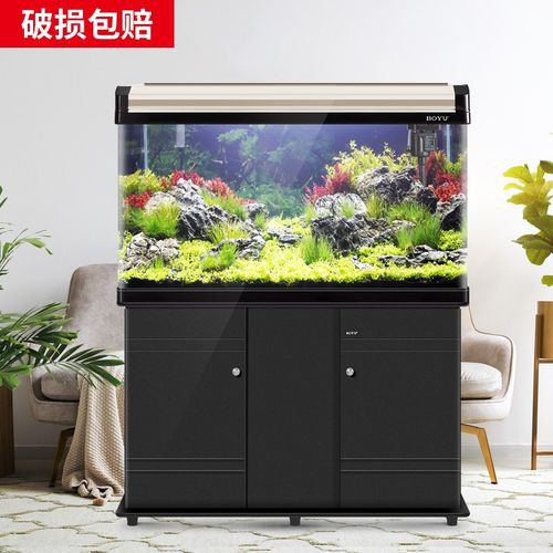 推薦一些性價比高的龍魚缸品牌