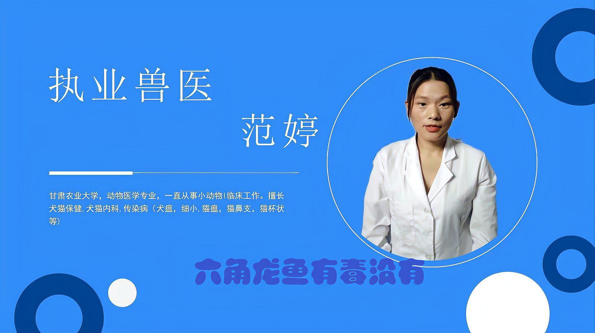 火龍魚可以和金魚混養嗎圖片對比