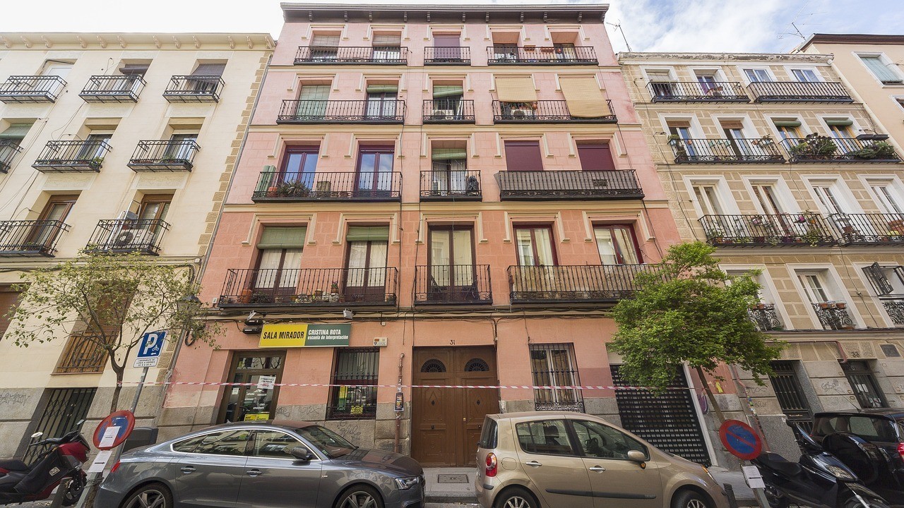 城陽區向榮志誠觀賞魚店