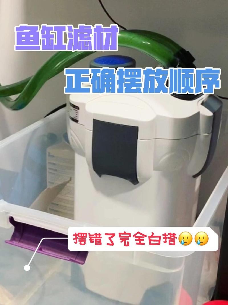 龍魚缸濾材怎樣擺放好呢 龍魚缸濾材怎樣擺放好呢 龍魚百科 第8張