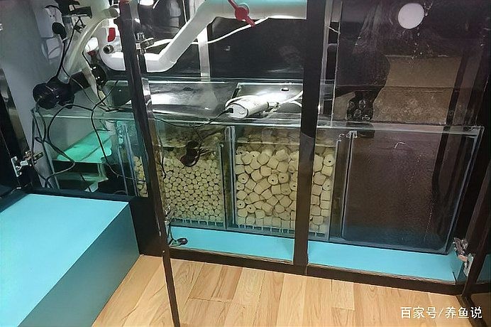 龍魚缸濾材怎樣擺放好呢 龍魚缸濾材怎樣擺放好呢 龍魚百科 第6張