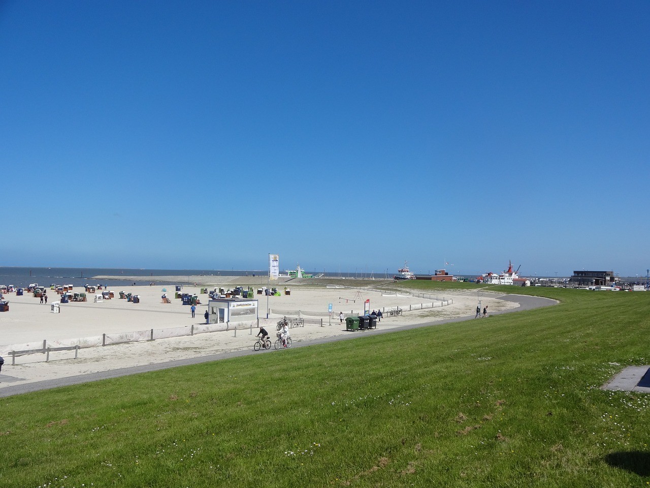 茂名市電白區(qū)沙瑯鎮(zhèn)花夢谷花店