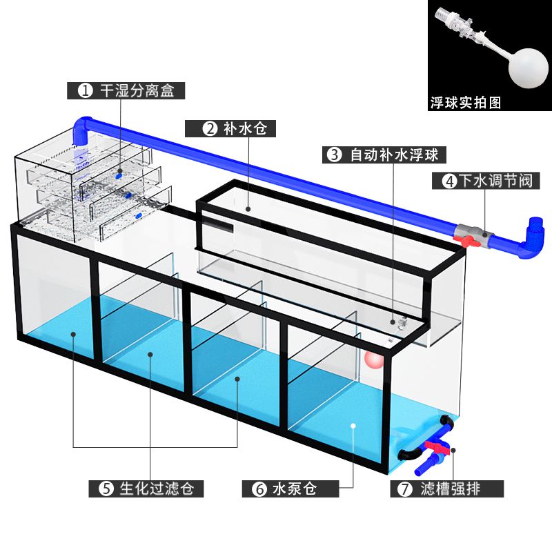 龍魚精養缸哪個品牌好：可麗愛水族箱設計亮點可麗愛水族箱設計亮點介紹