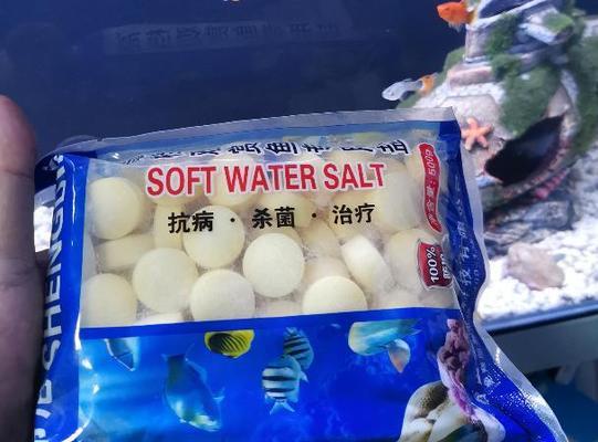 天津市寧河區王進水族館（天津市寧河區王進水族館地址）