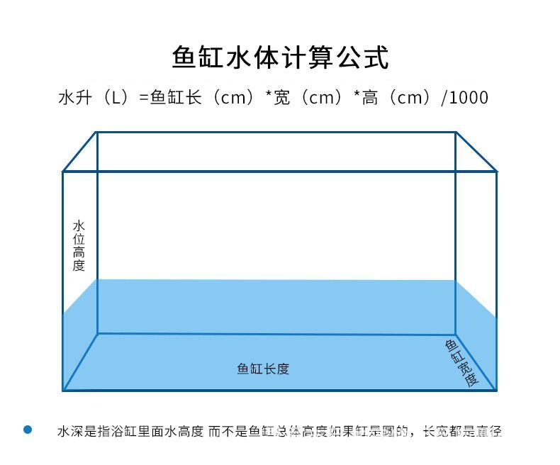 龍魚水位多高：最佳的龍魚水位高度應該在30到50厘米之間