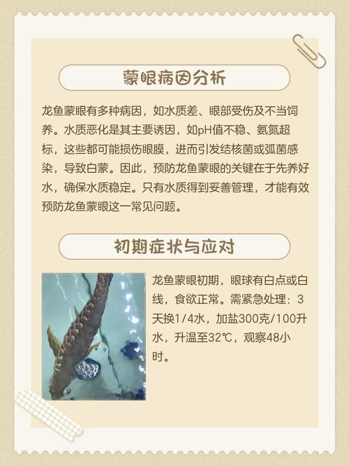龍魚眼睛有白膜怎么辦呢視頻教程圖片