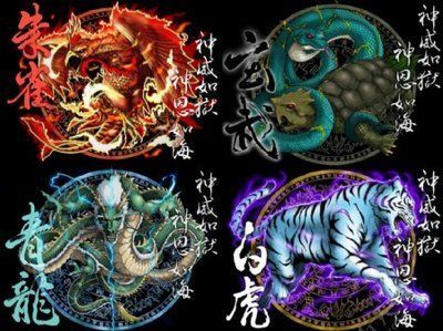 龍魚混養四大神獸是什么：關于龍魚混養四大神獸的詳細信息：龍魚混養四大神獸