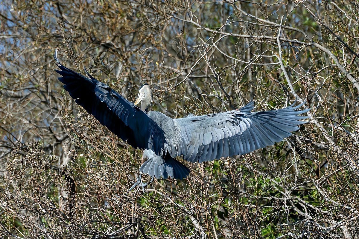 西方文化中還有其他邪惡生物嗎？