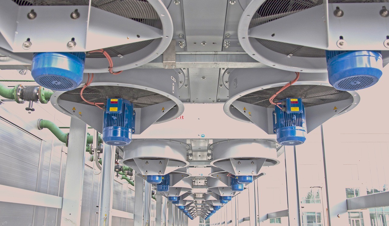 大連榮盛廣場明鑫鳥魚花寵物水族店