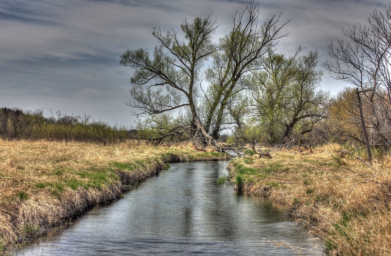 扎魯特旗魯北鎮傾城花卉店（扎魯特旗花海）