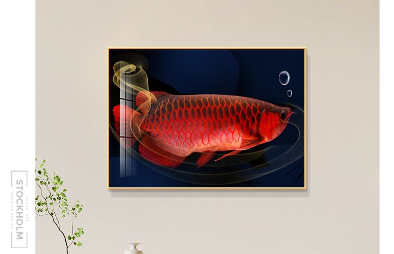 金龍魚(yú)掛畫(huà)能不能放家中：金龍魚(yú)掛畫(huà)能不能放家中，