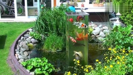 唐山市開平區(qū)悅美水族館（唐山市開平區(qū)悅美水族館電話）